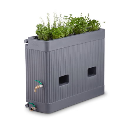 Speidel Rain-Fed Herb Bed
