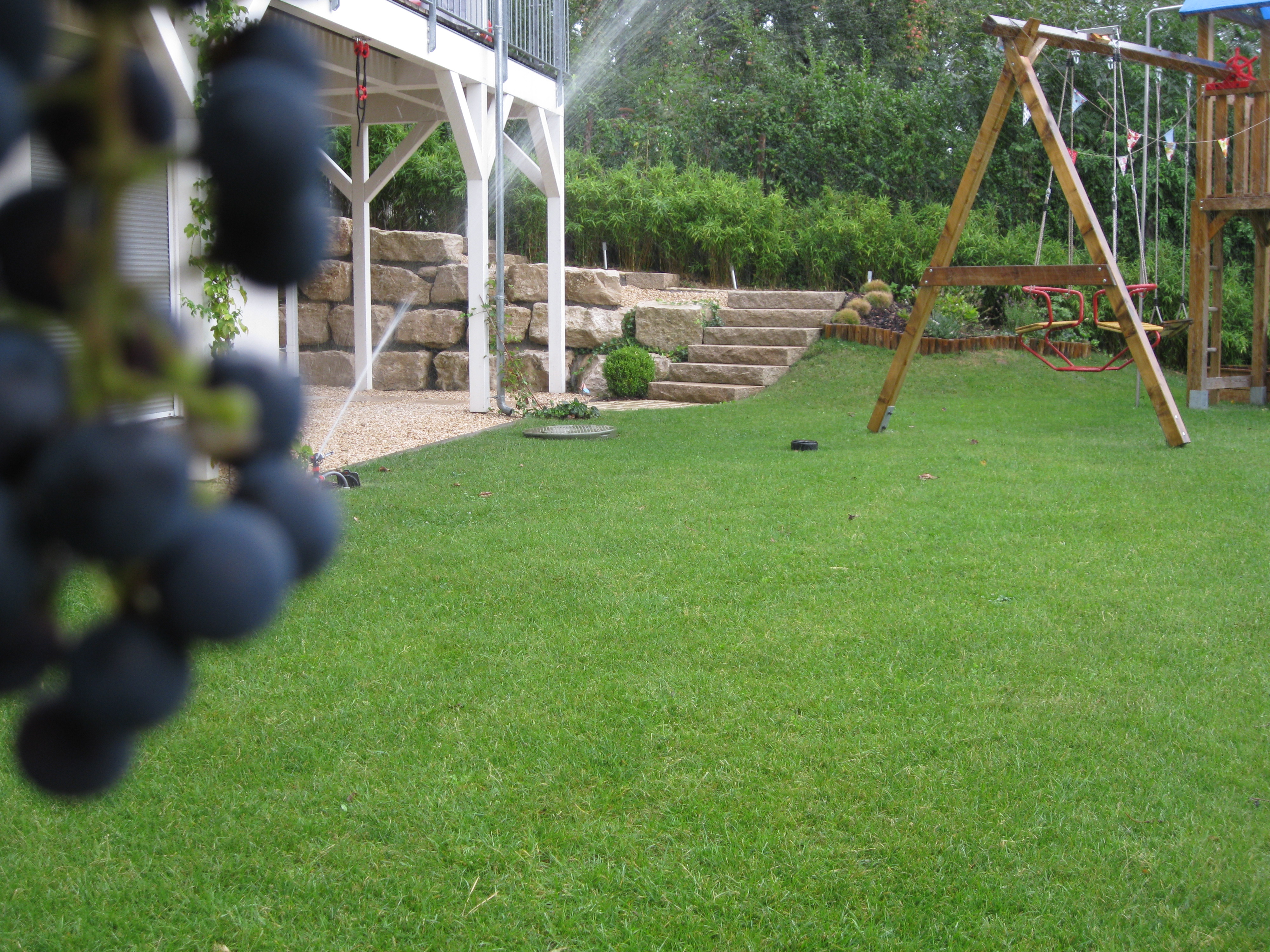 Grüner, blühender Garten